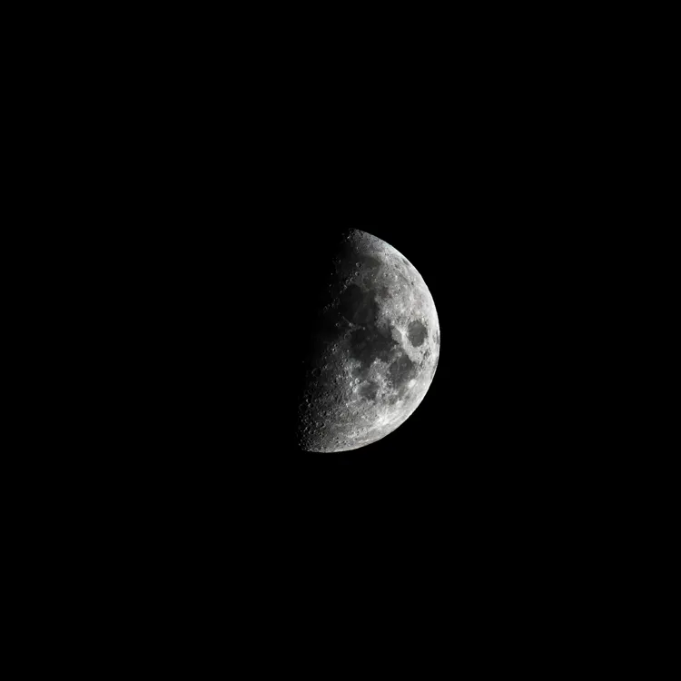DSC_2664